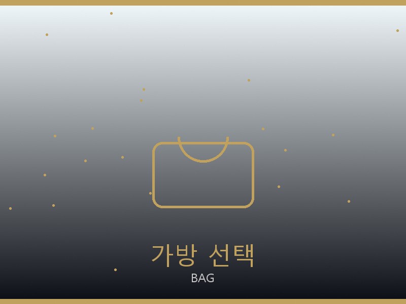 셀린느 파파라초 미디엄 탑핸들 미러급 가방 선택 가이드