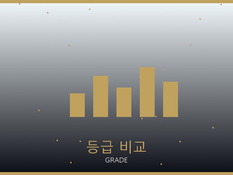 셀린느 파파라초 미디엄 탑핸들 미러급 등급 기준 비교