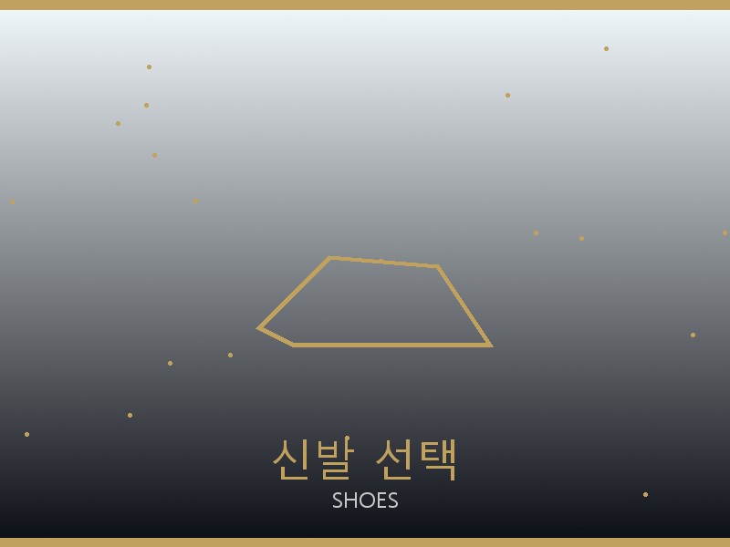 셀린느 파파라초 미디엄 탑핸들 미러급 신발 선택 가이드